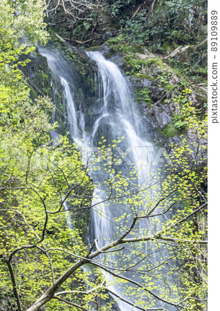 Waterfall, clear stream, fresh green, eco-image (Imadaki, Yurihama Town, Tottori Prefecture) 89109889