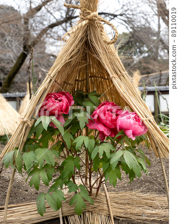 冬天按鈕 89110019