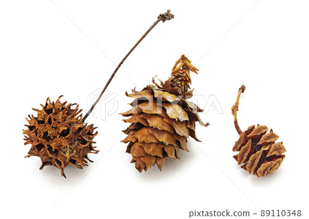 秋季配飾 89110348