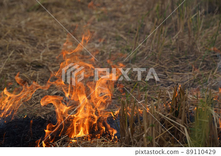The agricultural waste burning cause of smog and pollution. Fumes produced by the incineration of hay and rice straw in agricultural fields. 89110429