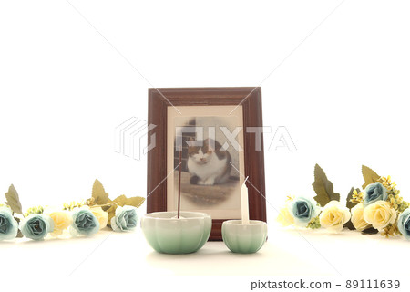 Altar for pet memorial service Stage 6 89111639