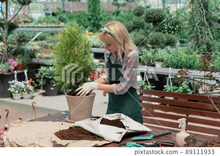 Woman planting a bush in flower pot using dirt in garden center Woman planting a bush in flower pot using dirt in garden center 89111933