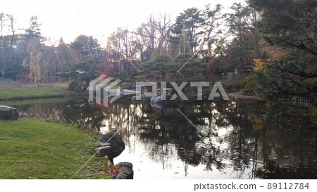 北海道惠庭市公園內的池塘 89112784