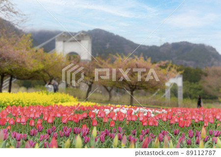 秦野川公園 89112787