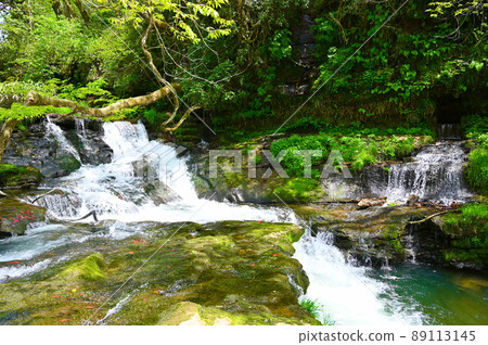 Miyajimakyo Ichino Waterfall Oyabe City 89113145
