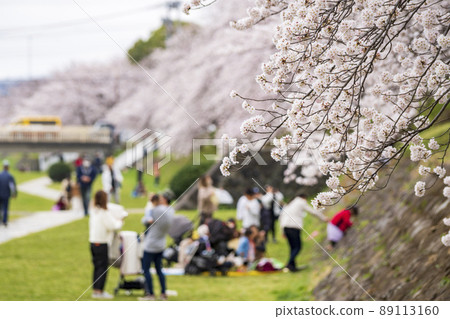 Ohanami的觀點 89113160