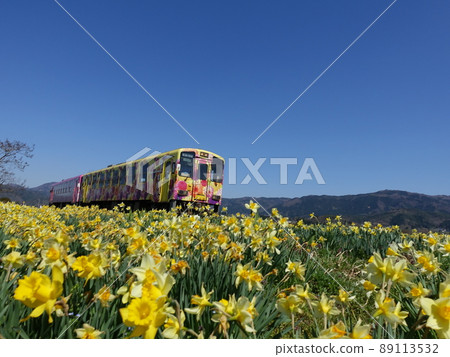 Local line and narcissus narcissus narcissus Local line and narcissus narcissus narcissus 89113532
