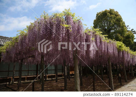 Musashiji Fuji 89114274