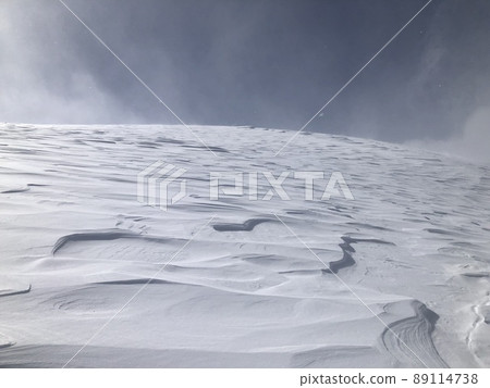 雪印 89114738