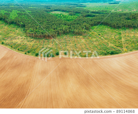 Aerial View Of Field And Deforestation Area Zone Landscape. Top View Of Field And Green Pine Forest Landscape. Large-scale Industrial Deforestation To Expand Agricultural Fields 89114868