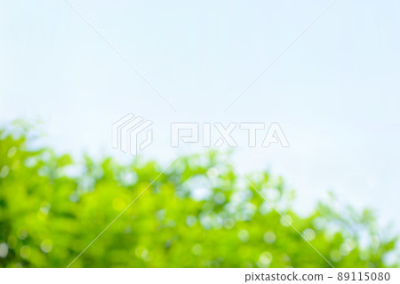 新鮮的綠色球景和藍天 89115080