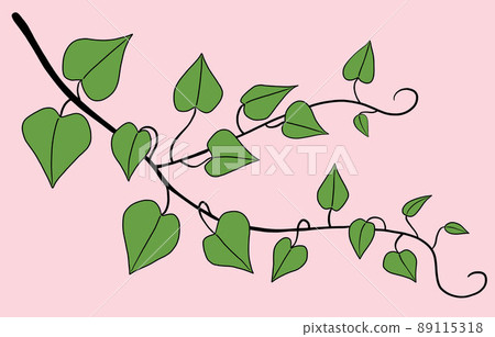 Simplicity ivy freehand drawing flat design. 89115318