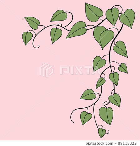 Simplicity ivy freehand drawing flat design. 89115322