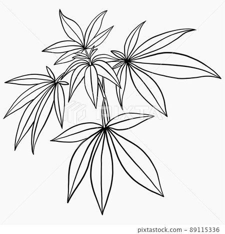 Simplicity cannabis plant freehand drawing flat design. 89115336