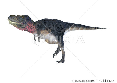 Tarbosaurus ☆ Tarbosaurus 89115422