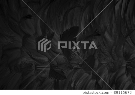 Beautiful black grey bird feathers pattern texture background. Beautiful black grey bird feathers pattern texture background. 89115673