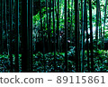 Kyoto Sagano bamboo grove 89115861