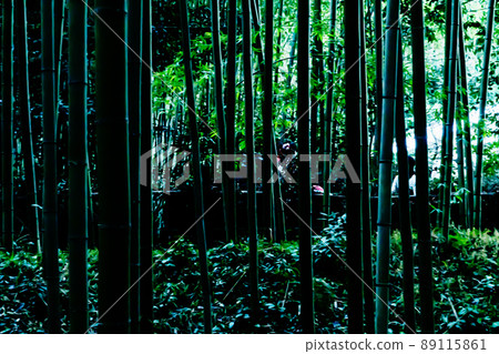 Kyoto Sagano bamboo grove Kyoto Sagano bamboo grove 89115861