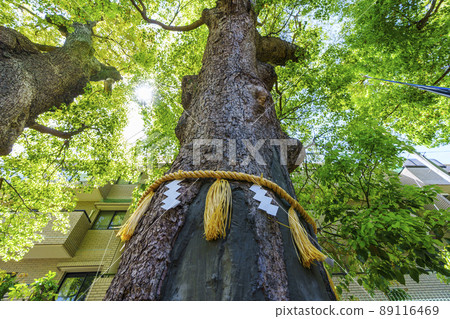 阿倍野寺新北[大阪市阿倍野區] 89116469