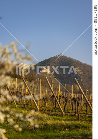 Chateau de Saint-Ulrich ruins, Chateau du Girsberg ruins and Chateau du Haut-Ribeaupierre near Ribeauville, Alsace, France 89117199