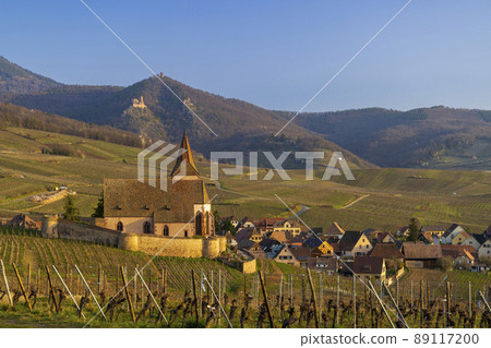Hunawihr village with castle ruins near Ribeauville, Alsace, France 89117200
