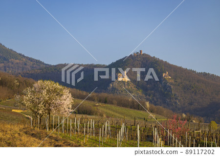Chateau de Saint-Ulrich ruins, Chateau du Girsberg ruins and Chateau du Haut-Ribeaupierre near Ribeauville, Alsace, France Chateau de Saint-Ulrich ruins, Chateau du Girsberg ruins and Chateau du Haut-Ribeaupierre near Ribeauville, Alsace, France 89117202