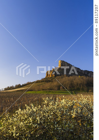 Rock of Solutre with vineyards, Burgundy, Solutre-Pouilly, France Rock of Solutre with vineyards, Burgundy, Solutre-Pouilly, France 89117207