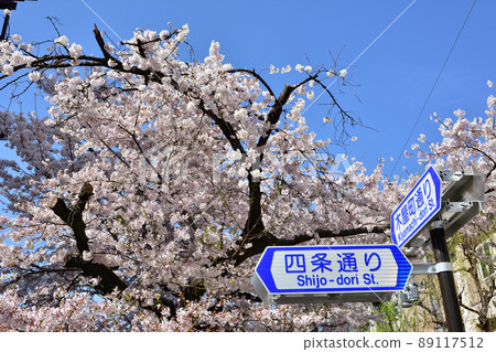 京都高瀨河邊的櫻花 89117512