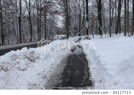 雪路 雪路 89117713