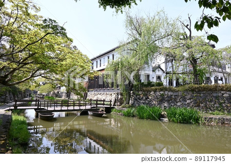 Hachimanbori near the Kawara Museum in Omihachiman City Hachimanbori near the Kawara Museum in Omihachiman City 89117945