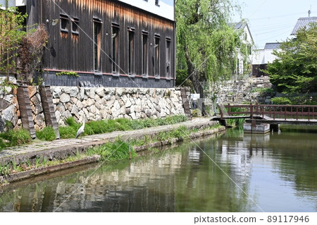 Hachimanbori near the Kawara Museum in Omihachiman City Hachimanbori near the Kawara Museum in Omihachiman City 89117946
