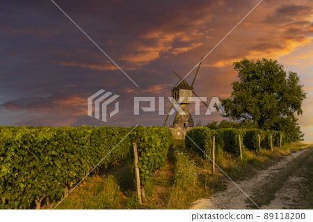 Windmill of La Tranchee and vineyard near Montsoreau, Pays de la Loire, France Windmill of La Tranchee and vineyard near Montsoreau, Pays de la Loire, France 89118200