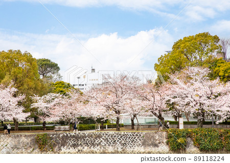 It is the scenery of the Peace Memorial Park in spring. The cherry blossoms are about to be in full bloom. Please have a bright atmosphere. Hiroshima Prefecture 89118224