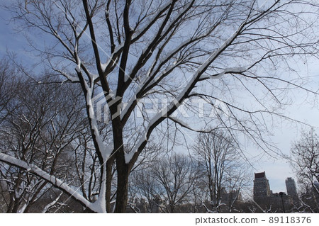 紐約公園景觀 紐約公園景觀 89118376