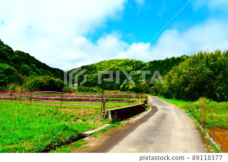 鄉村小路 鄉村小路 89118377