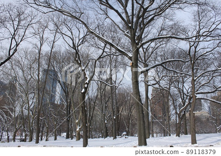 紐約公園景觀 紐約公園景觀 89118379