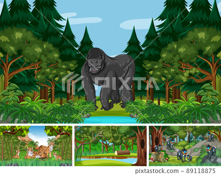 Scenes with wild animals in the forest 89118875