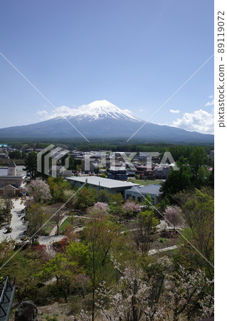 富士山藥草園旅行日記 富士河口湖庭園展望台 富士山甲板 富士山與園景 富士山藥草園旅行日記 富士河口湖庭園展望台 富士山甲板 富士山與園景 89119072