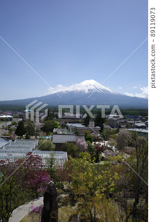 Fujisan Herb Garden Travel Diary Fujikawaguchiko Garden Observatory Fujisan Deck Mt. Fuji and the scenery of the garden 89119073