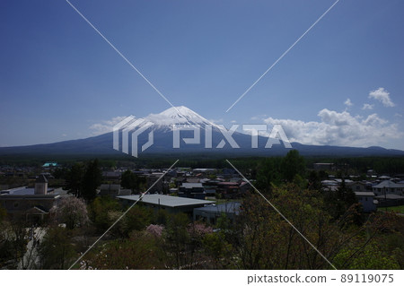 Fujisan Herb Garden Travel Diary Fujikawaguchiko Garden Observatory Fujisan Deck Mt. Fuji and the scenery of the garden 89119075