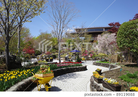 Herb Garden Travel Diary Colorful spring flowers blooming in the garden of Fujikawaguchiko Garden Herb Garden Travel Diary Colorful spring flowers blooming in the garden of Fujikawaguchiko Garden 89119088