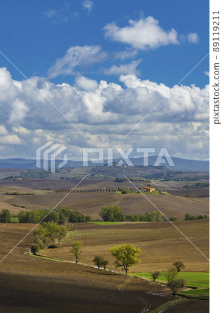 Typical Tuscan landscape near Siena, Tuscany, Italy Typical Tuscan landscape near Siena, Tuscany, Italy 89119211
