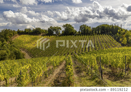 Tuscany's most famous vineyards near town Montalcino in Italy Tuscany's most famous vineyards near town Montalcino in Italy 89119212