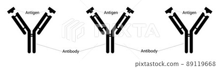 Different types of antigens and different types of antibodies. Human immunity. Fighting viruses. Epitope and paratope. Different types of antigens and different types of antibodies. Human immunity. Fighting viruses. Epitope and paratope. 89119668