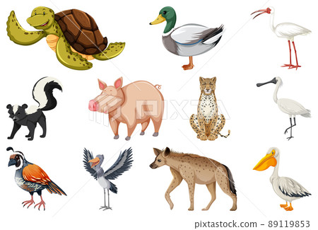 Set of different kinds of animals 89119853