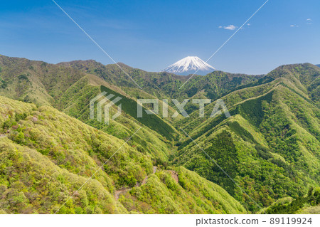 （山梨縣）從身延町的山上看到的富士山，新鮮的綠色植物 89119924