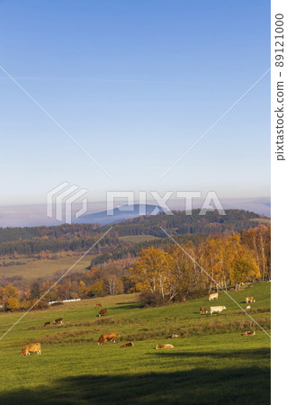 Typical Sumava autumn landscape, Southern Bohemia, Czech Republic Typical Sumava autumn landscape, Southern Bohemia, Czech Republic 89121000