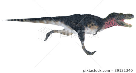 特暴龍 ☆ 特暴龍 89121340