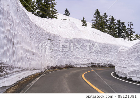 Spring Zao Echo Line Snow Corridor (Snow Wall) Zao Town, Miyagi Prefecture 89121381