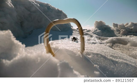 Woolly mammoth in a cold snowy landscape. Snowy landscape and mammoth. Woolly mammoth in a cold snowy landscape. Snowy landscape and mammoth. 89121507